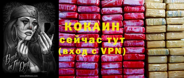 мет Лагань