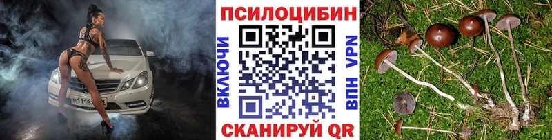 Псилоцибиновые грибы мухоморы  Лодейное Поле 